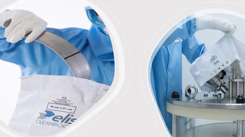 Autocalve bag 