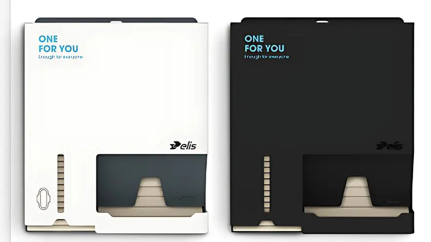 Ladybox case