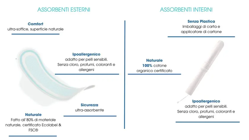 Assorbenti Ladybox