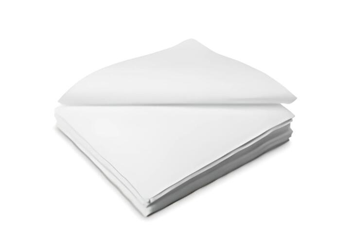 Salviette Cleanroom