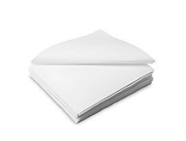 Salviette Cleanroom