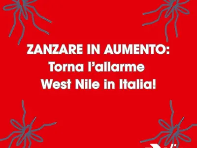 Cover West Nile