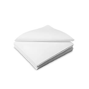 Salviette Cleanroom